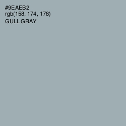 #9EAEB2 - Gull Gray Color Image